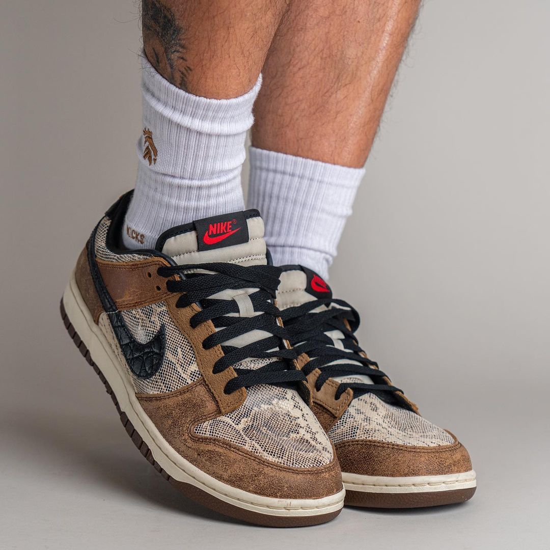 Dunk Low Jean (1)
